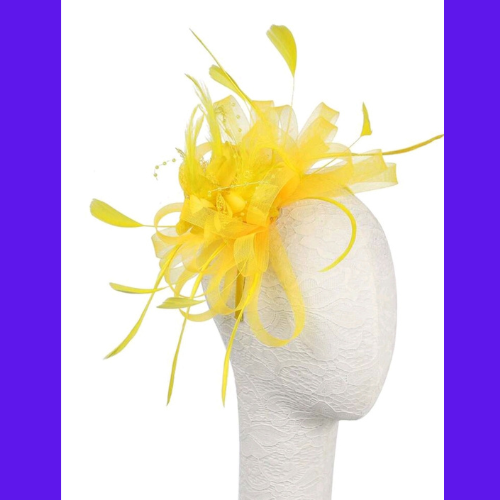 Veerkrachtige Fascinator